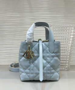 DIOR TOUJOURS - SMALL -  BLUE - CALFSKIN - GOLD